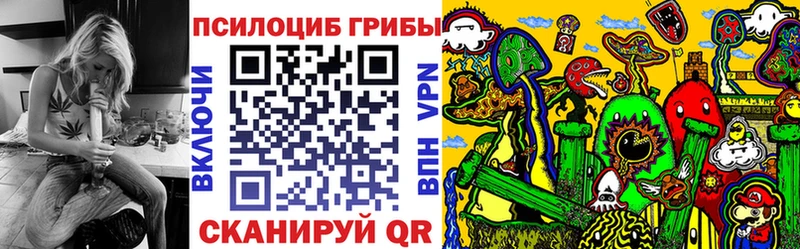 сайты даркнета наркотические препараты  Сураж  Галлюциногенные грибы GOLDEN TEACHER 